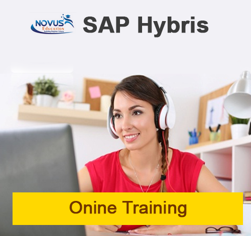 SAP Hybris Commerce Course Content